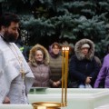 DSC03900 1280x853